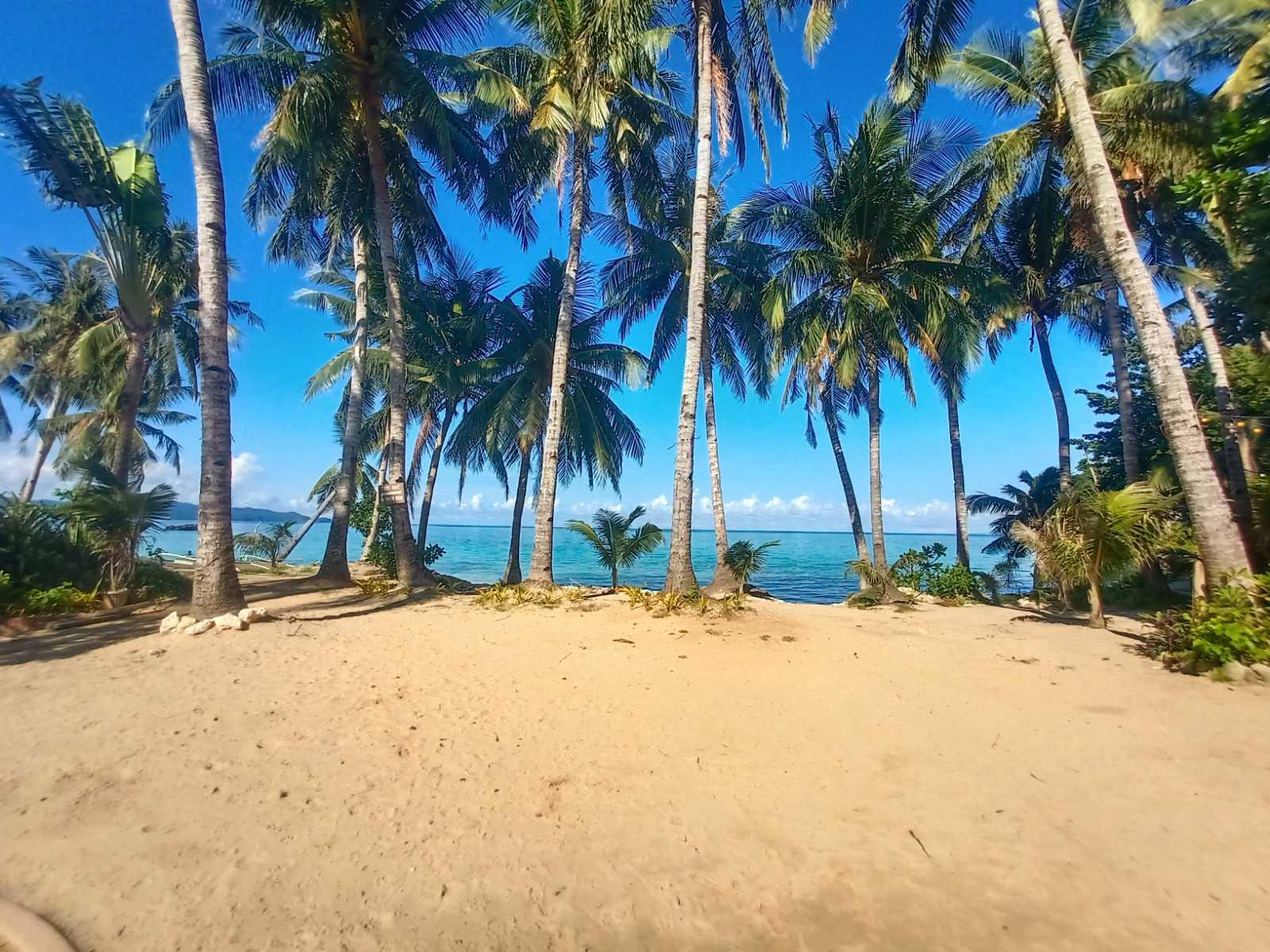 فندق ميكروتيل باي ويندهام بوراكاي Balabag  المظهر الخارجي الصورة